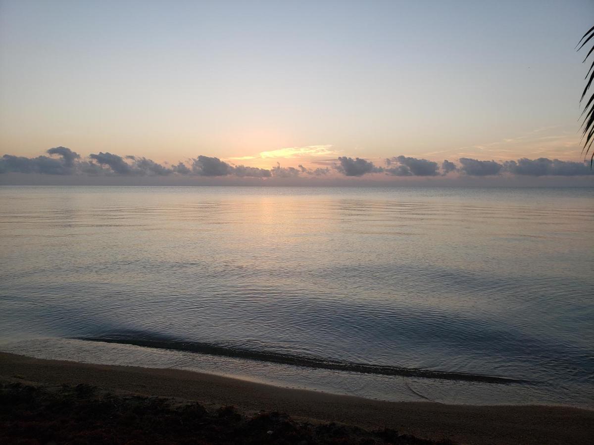 Pal'S On The Beach - Dangriga, Belize Dış mekan fotoğraf