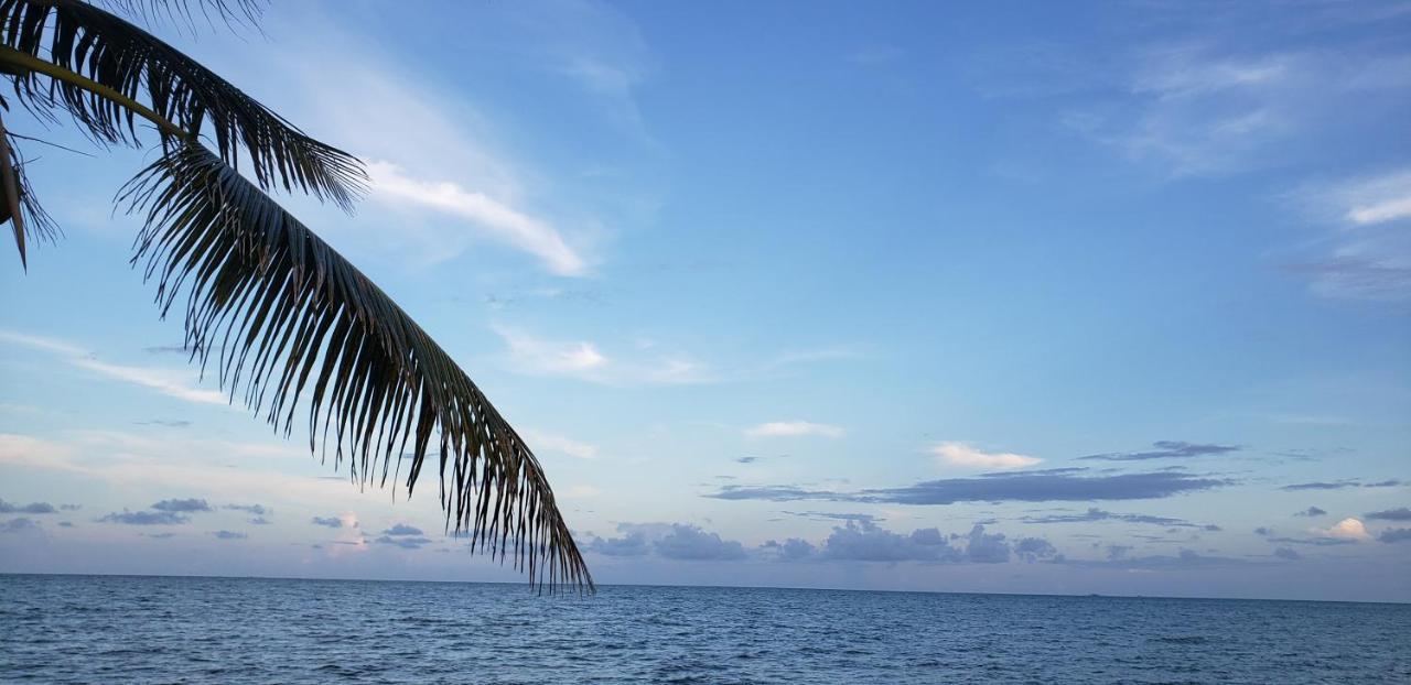 Pal'S On The Beach - Dangriga, Belize Dış mekan fotoğraf
