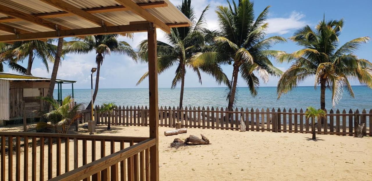 Pal'S On The Beach - Dangriga, Belize Dış mekan fotoğraf