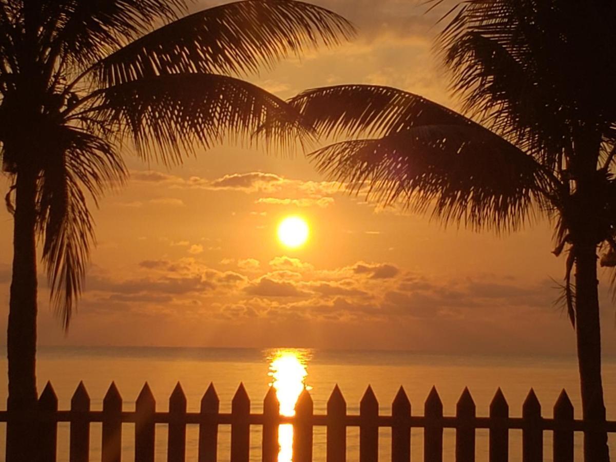 Pal'S On The Beach - Dangriga, Belize Dış mekan fotoğraf