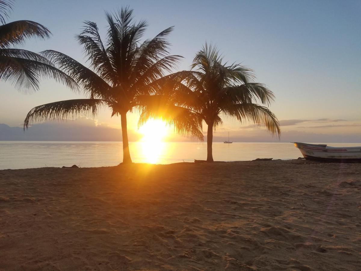 Pal'S On The Beach - Dangriga, Belize Dış mekan fotoğraf