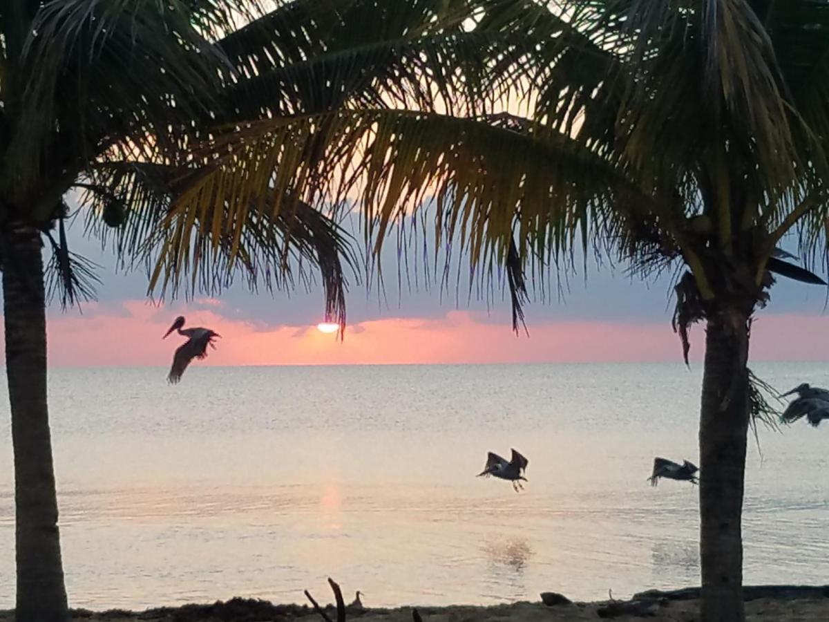 Pal'S On The Beach - Dangriga, Belize Dış mekan fotoğraf