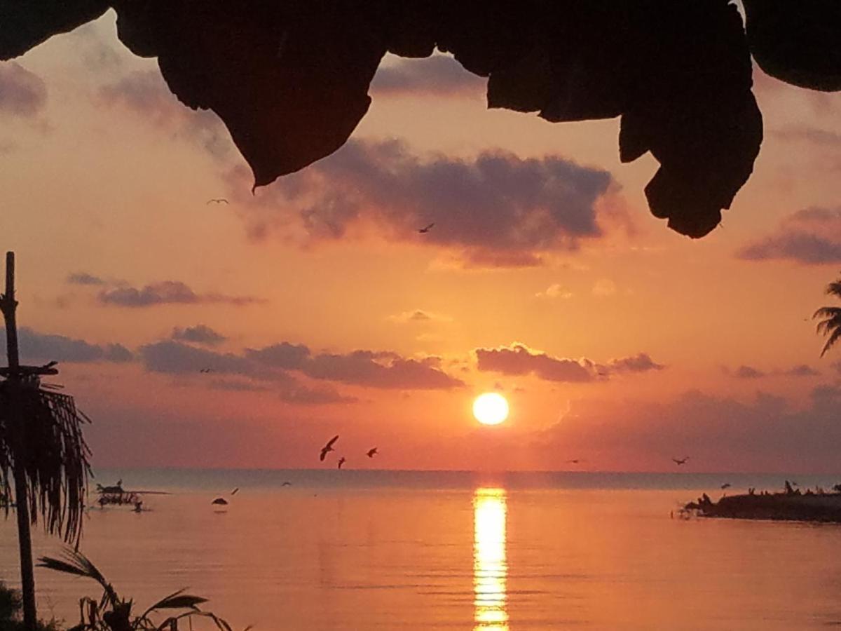 Pal'S On The Beach - Dangriga, Belize Dış mekan fotoğraf
