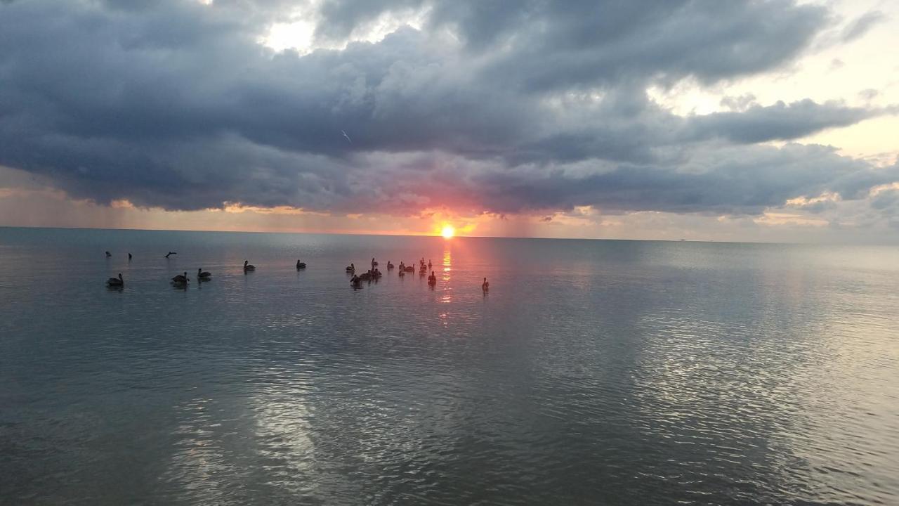 Pal'S On The Beach - Dangriga, Belize Dış mekan fotoğraf