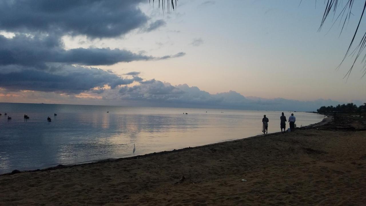 Pal'S On The Beach - Dangriga, Belize Dış mekan fotoğraf